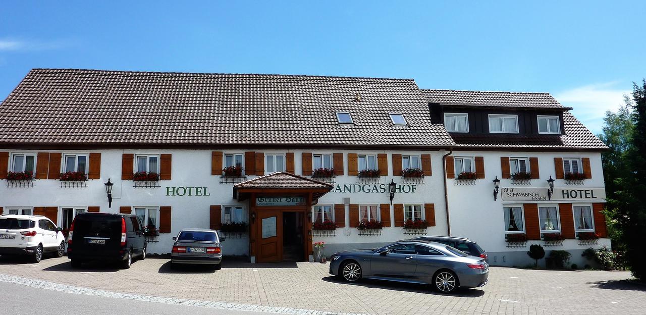 Landgasthof Gruener Baum *